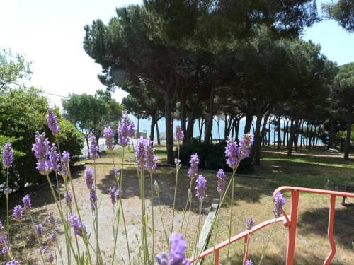 Sainte Maxime France Hotel