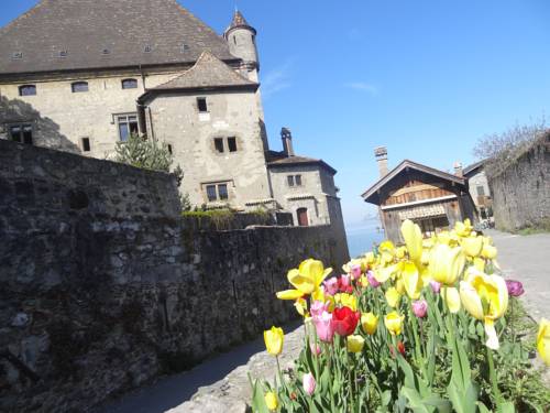 Yvoire France code promo Booking.com