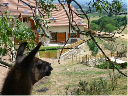 Saint-André-d'Apchon France code promo Booking.com