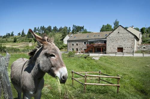 Rimeize France code promo Booking.com