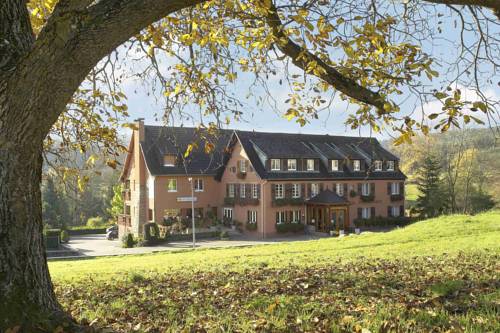 Birkenwald France code promo hôtel booking.com