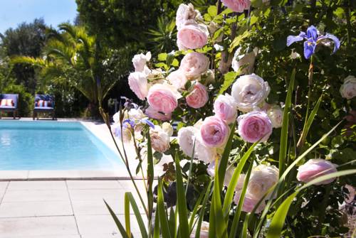 Olmeto France code promo Booking.com