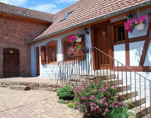 San Nabor Codice promozionale Francia Booking.com