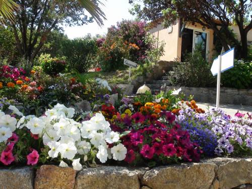 Olmeto France code promo Booking.com