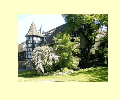 Ittlenheim France code promo Booking.com