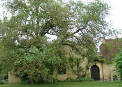 Mauzac Frankrijk Promotiecode Booking.com