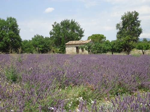 Saignon Frankrijk Promotiecode Booking.com