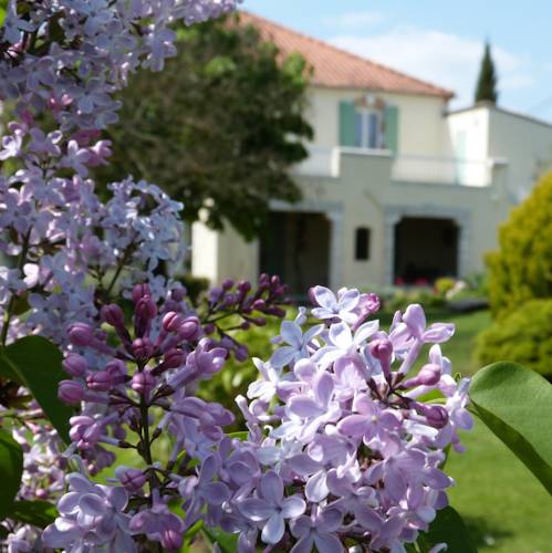 Pinel-Hauterive Frankrijk Promotiecode Booking.com