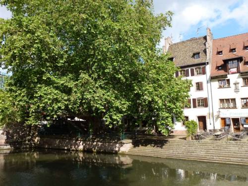 Strasburgo Codice promozionale Francia Booking.com