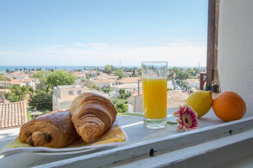 Villeneuve Loubet France Hotel