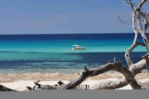 Sant'Antonino France code promo Booking.com
