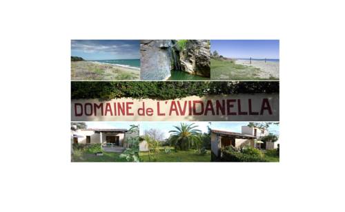 San-Nicolao France Promo Code Booking.com