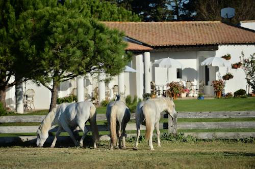 Les Saintes Maries de la Mer France Promo Code Booking.com