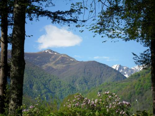 Seix Codice promozionale Francia Booking.com